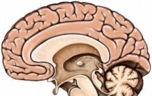 Прогноз для нормальной жизни при ишемическом инсульте мозга