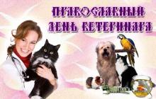 Veterinary Worker Day (Veterinarian Day) in Russia to you for your work, which is very important and necessary